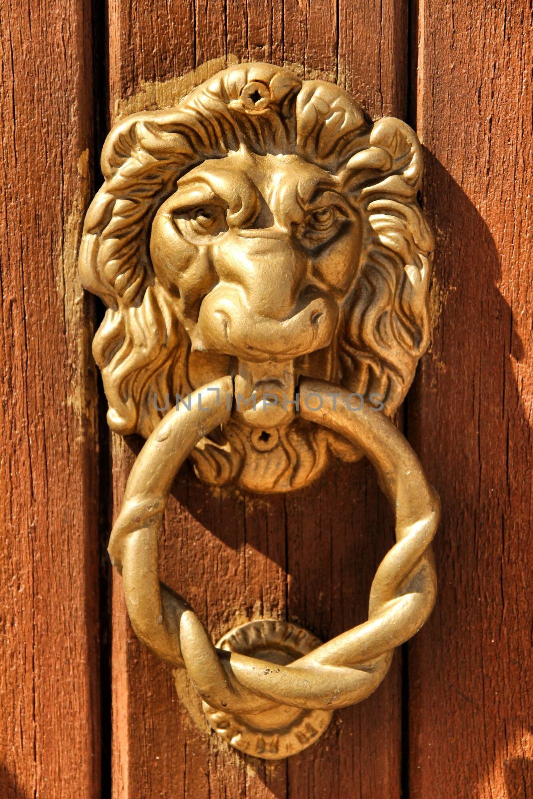 Vintage door knocker lion shaped on brown wooden door