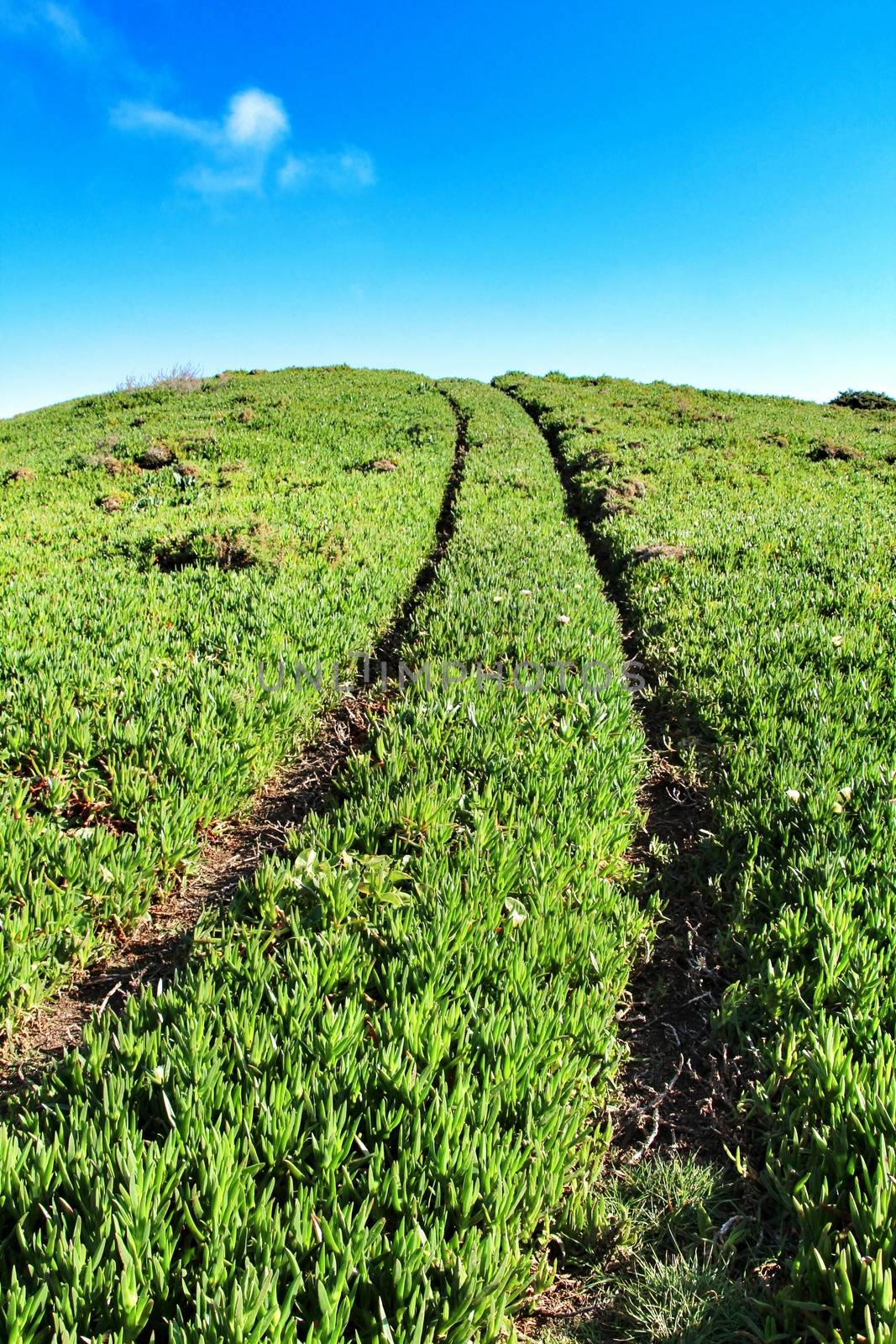 Beautiful valley with car tracks losing in the horizon under blue sky in portugal