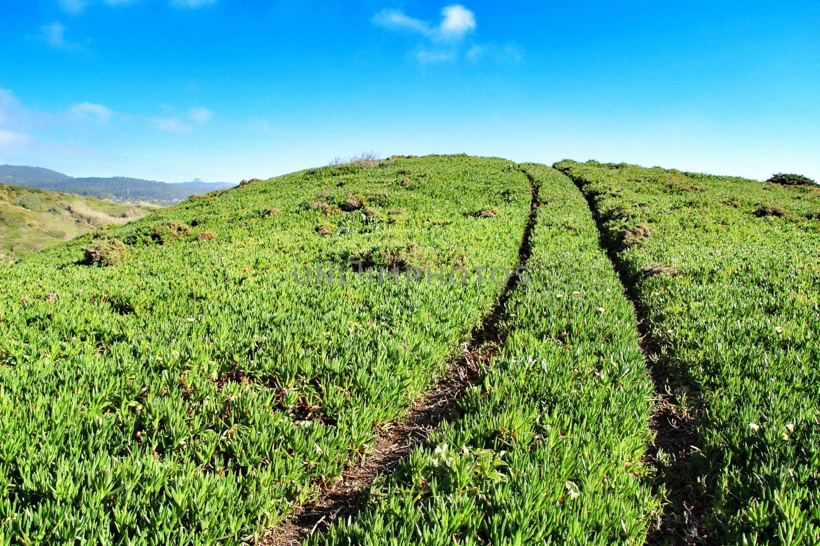 Beautiful valley with car tracks losing in the horizon under blue sky in portugal