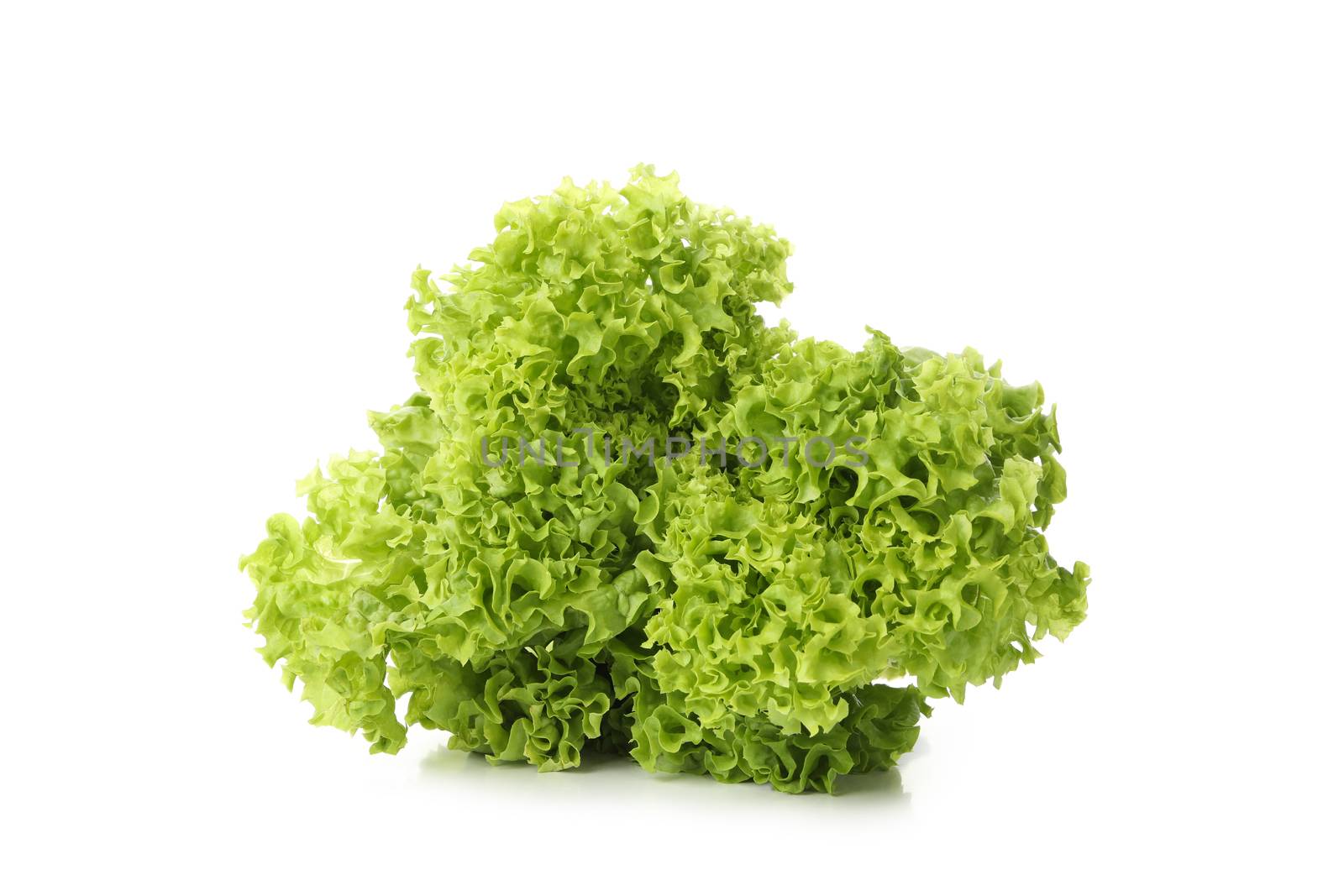 Leaves of green salad isolated on white background