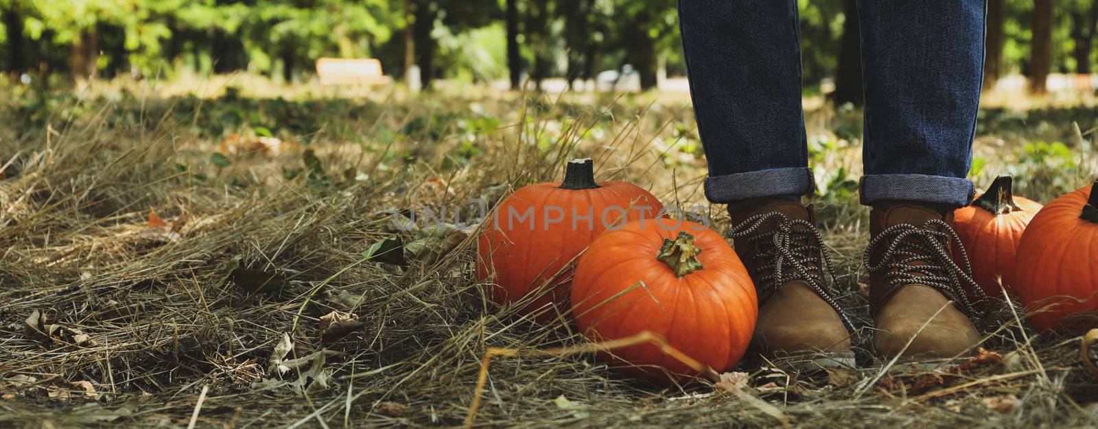 Autumn concept with pumpkins and woman in jeans and boots