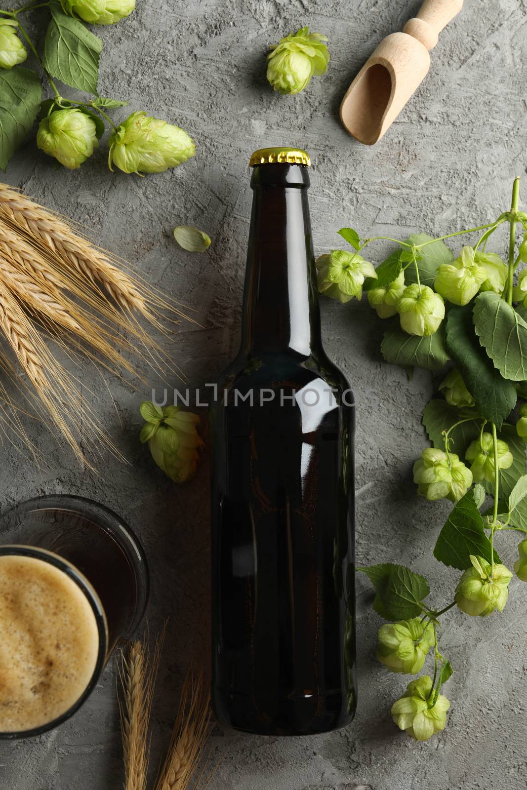 Beer, hop and wheat on gray background