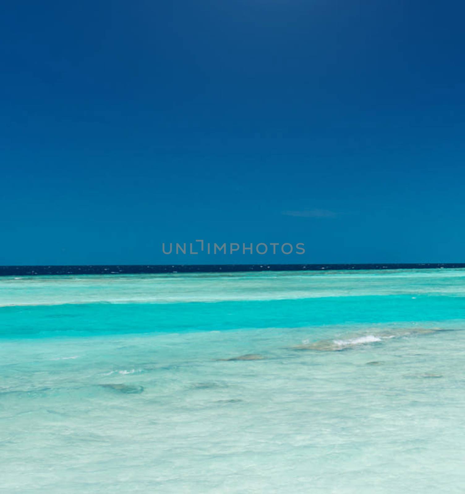 Beautiful pictures of  Bahamas