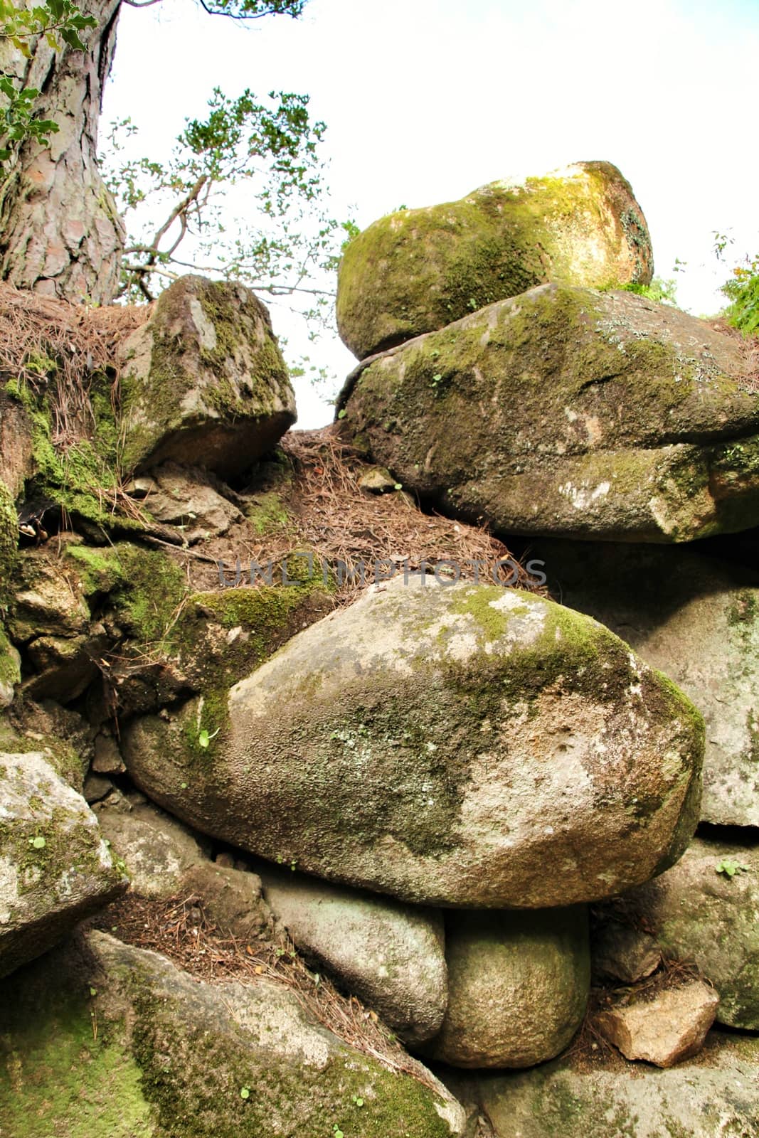 Stacked rocks plenty of moss in a Leafy garden with large trees in Sintra, Lisbon