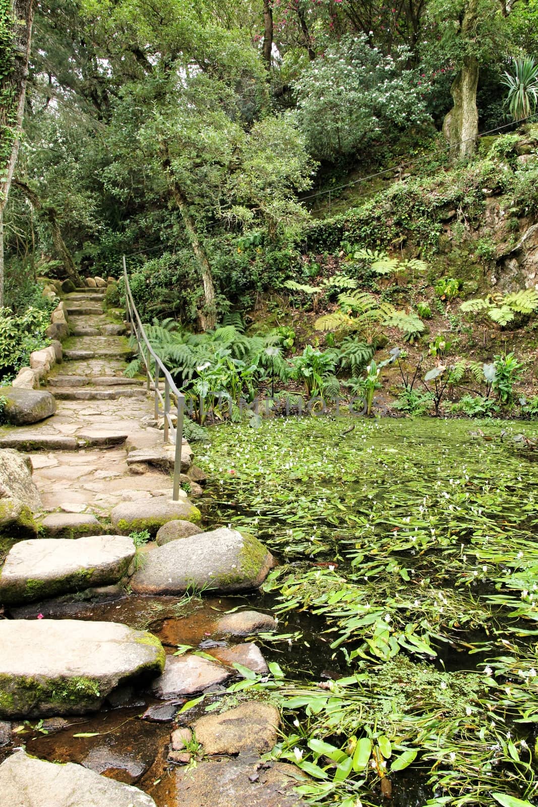 Path between with green vegetation in winter in Lisbon, Portugal