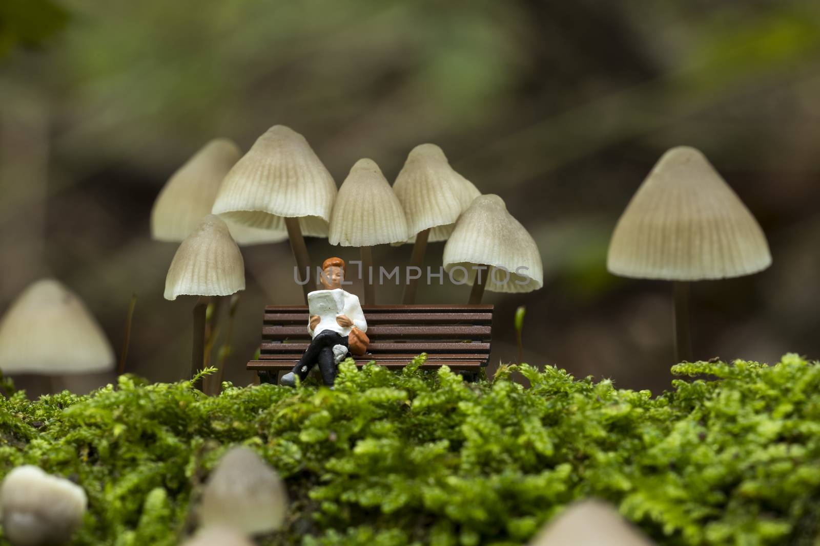 a small figure reading the newspaper and resting under the fungus mycena arcangeliana in the forest in holland