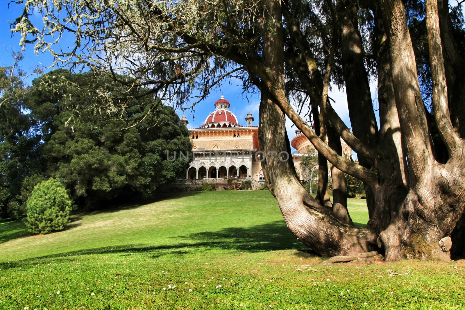 Monserrate palace between Leafy and green garden with large trees in Sintra, Lisbon