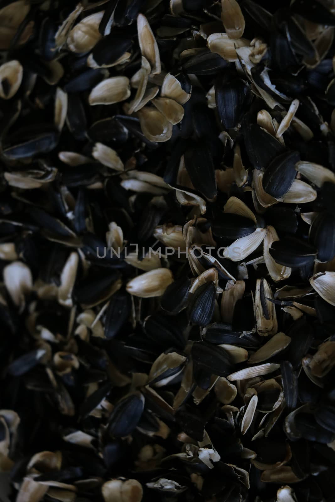 Close-up of peel of sunflower seeds. Waste from seeds background. by kip02kas
