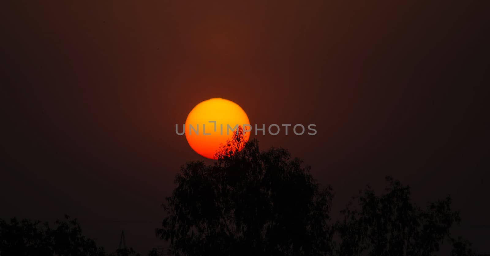Beautiful pictures of  Bangladesh