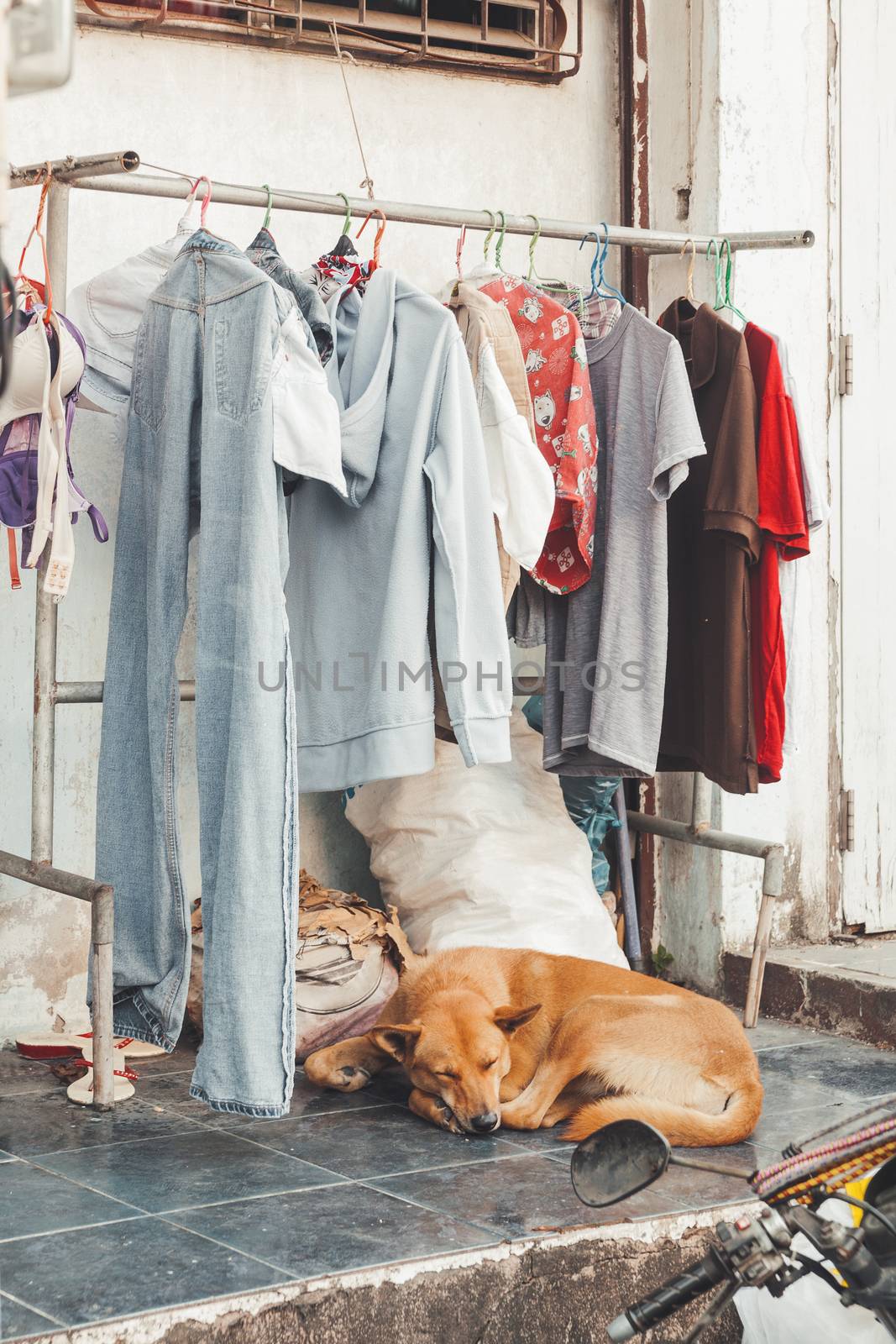 Stray ginger dog sleeps on pavement under hanger with washed clothes. Clothes dry outside on the street near road. Real life in Central Bangkok, Thailand.