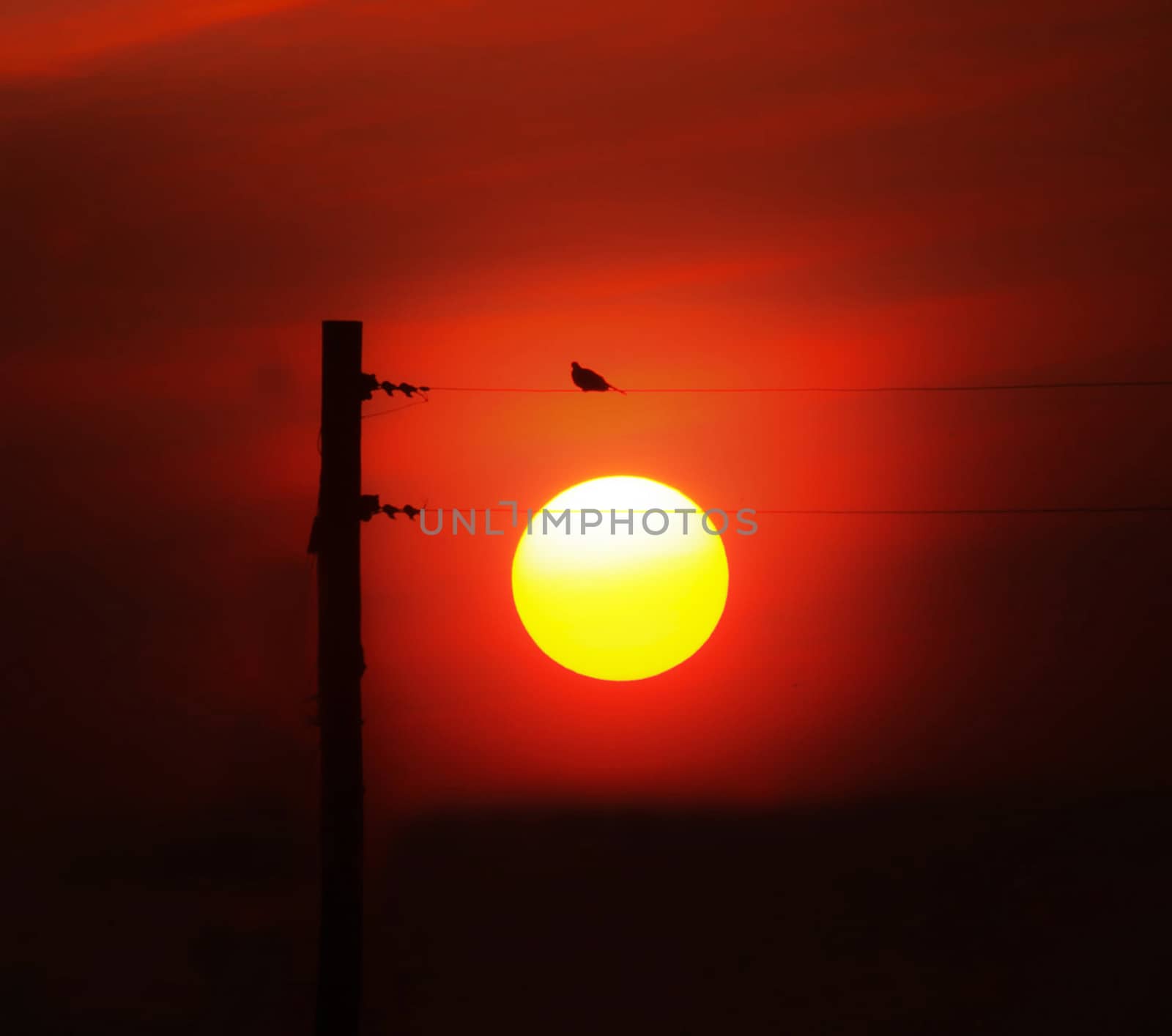 Beautiful pictures of  Bangladesh