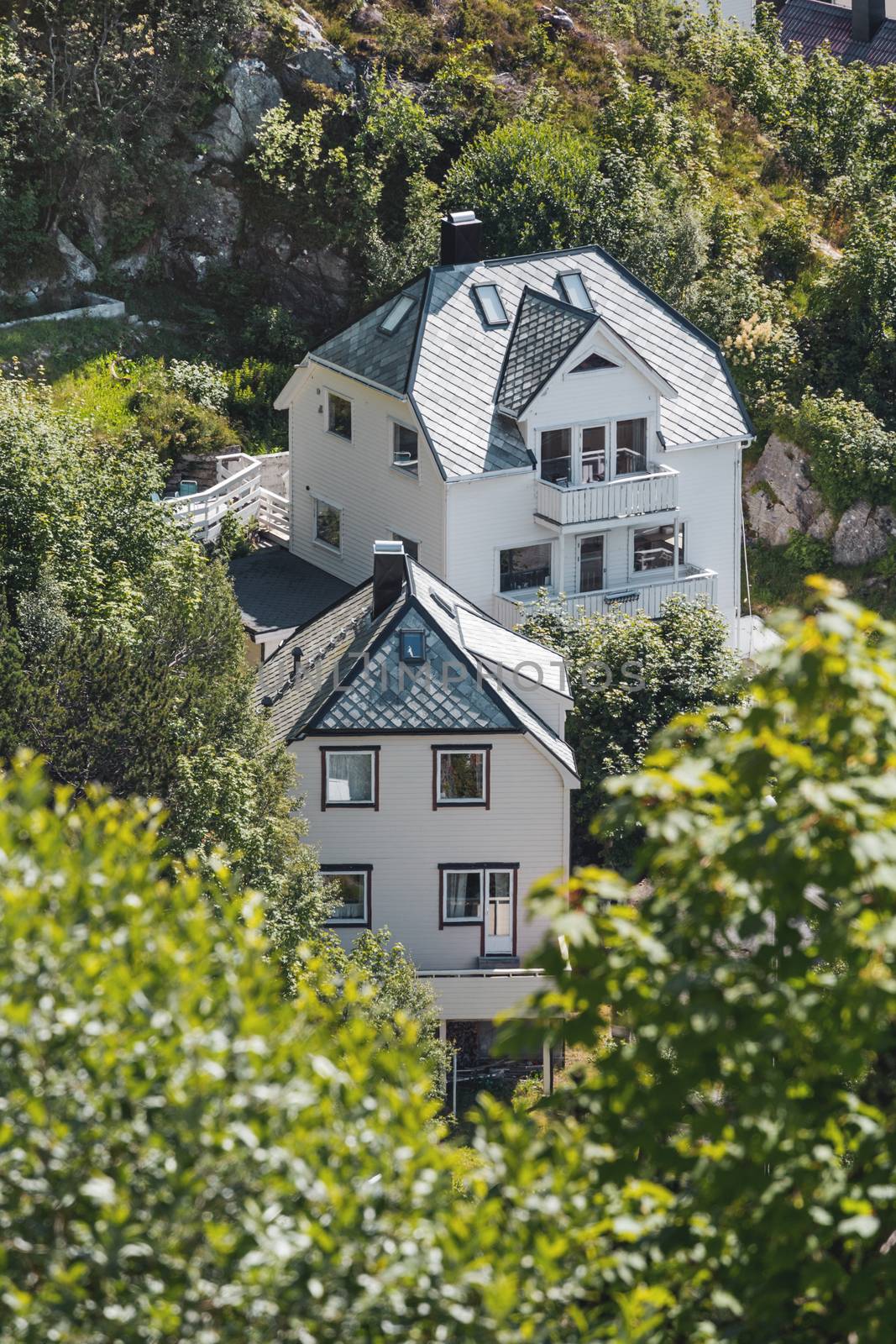 Two white houses in the middle of lush greenery in the suburb of Alesund. Norway.