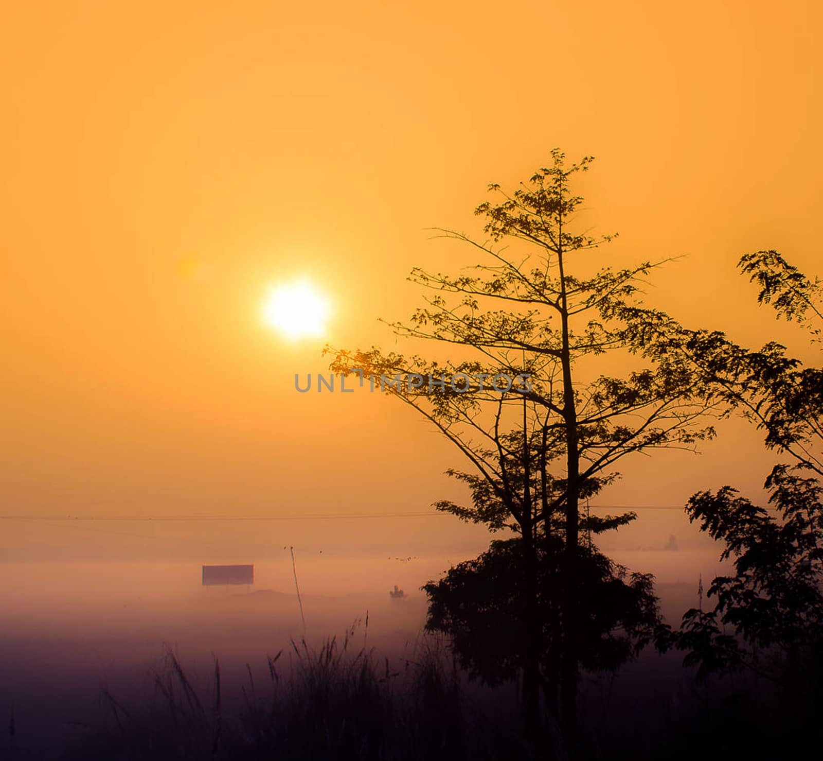 Beautiful pictures of  Bangladesh