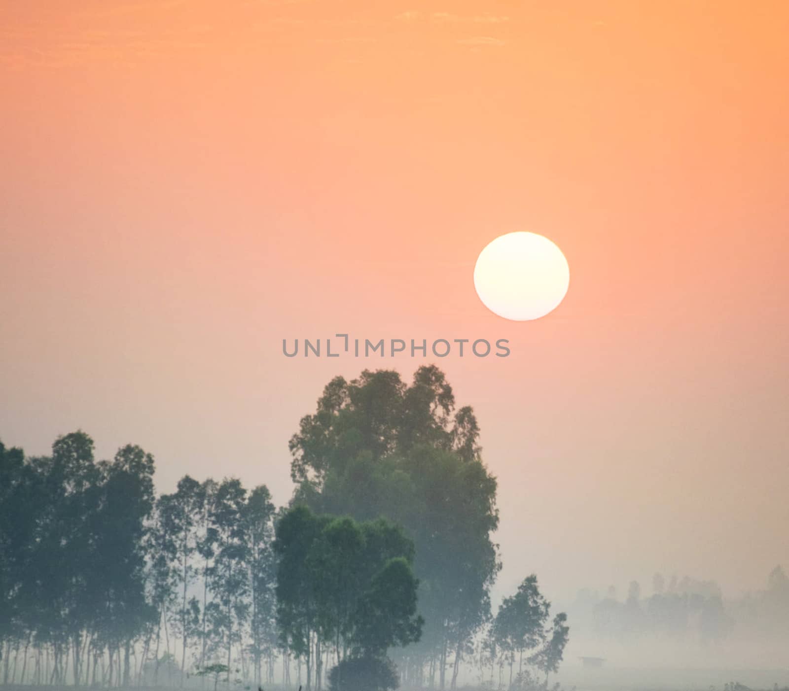 Beautiful pictures of  Bangladesh