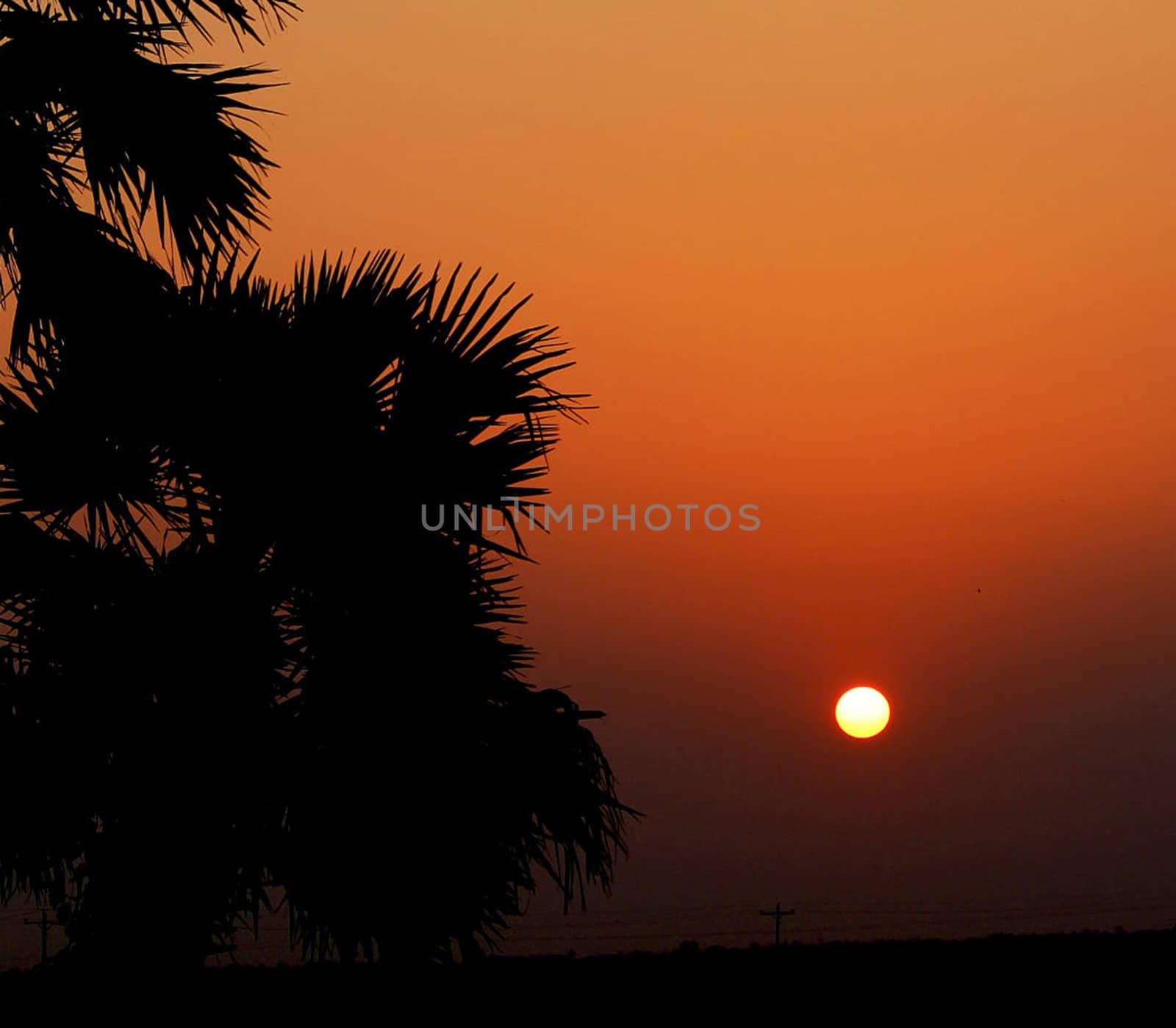 Beautiful pictures of  Bangladesh
