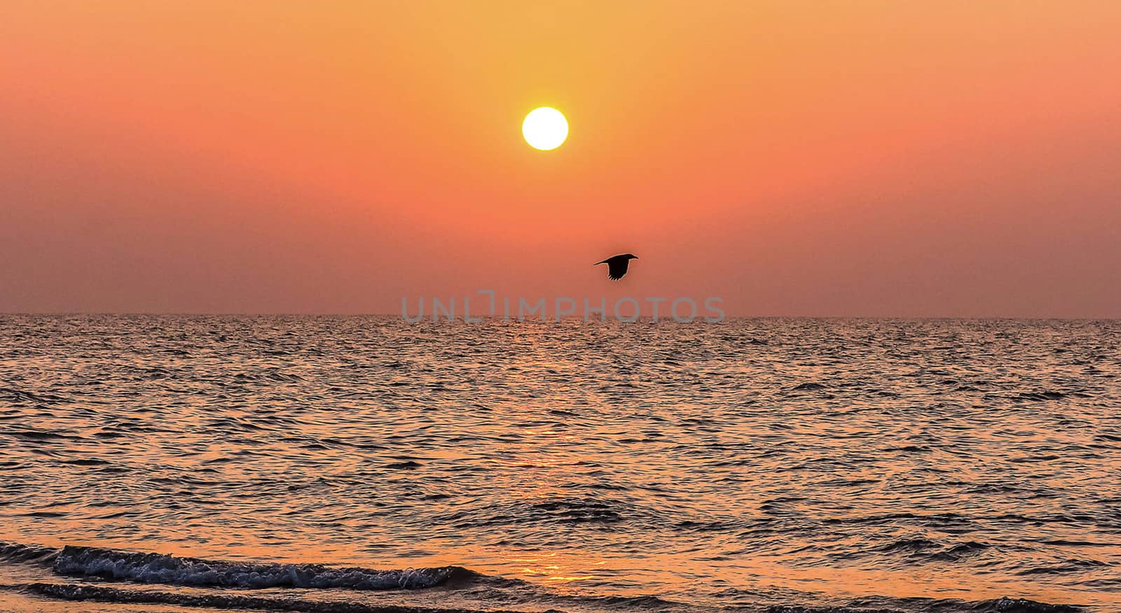 Beautiful pictures of  Bangladesh