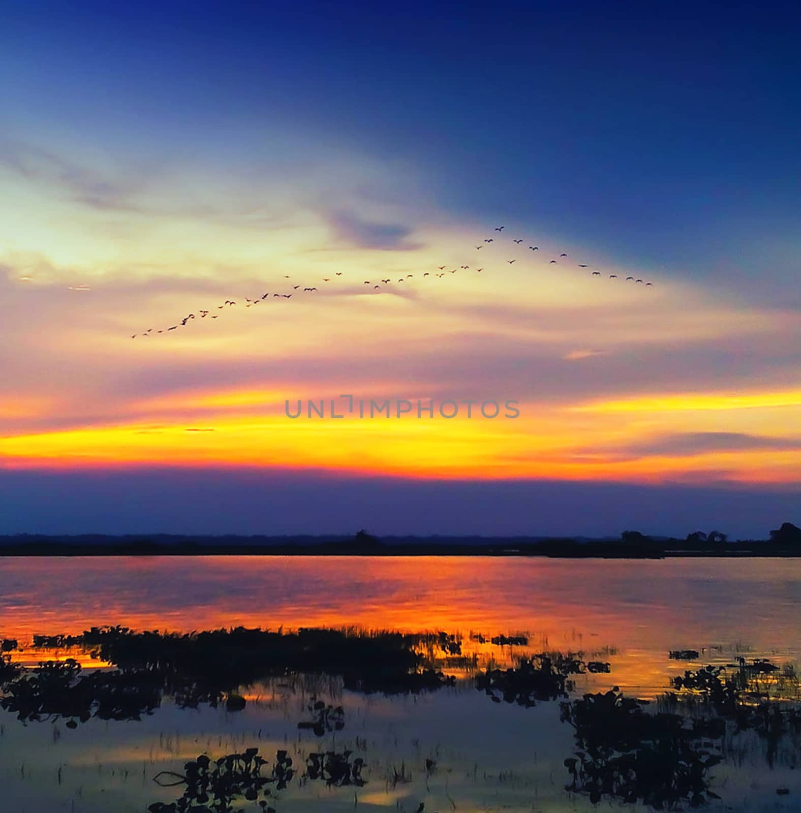 Beautiful pictures of  Bangladesh