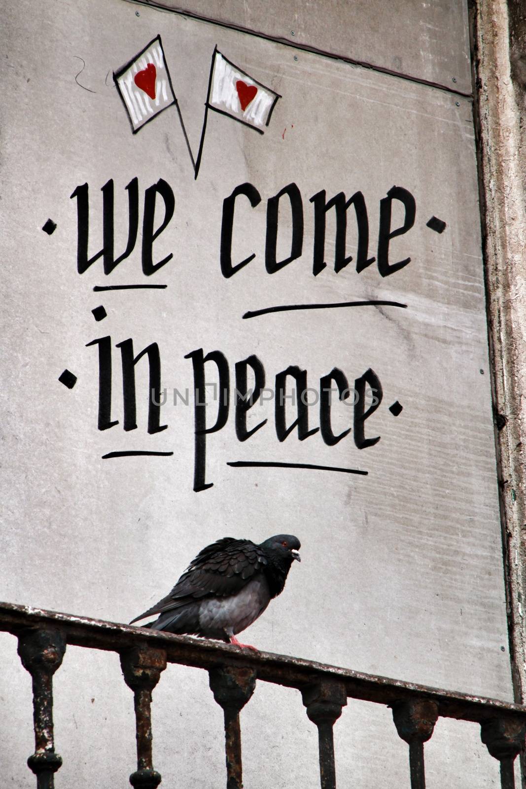 Pigeon perched on a balcony with peace message in Lisbon