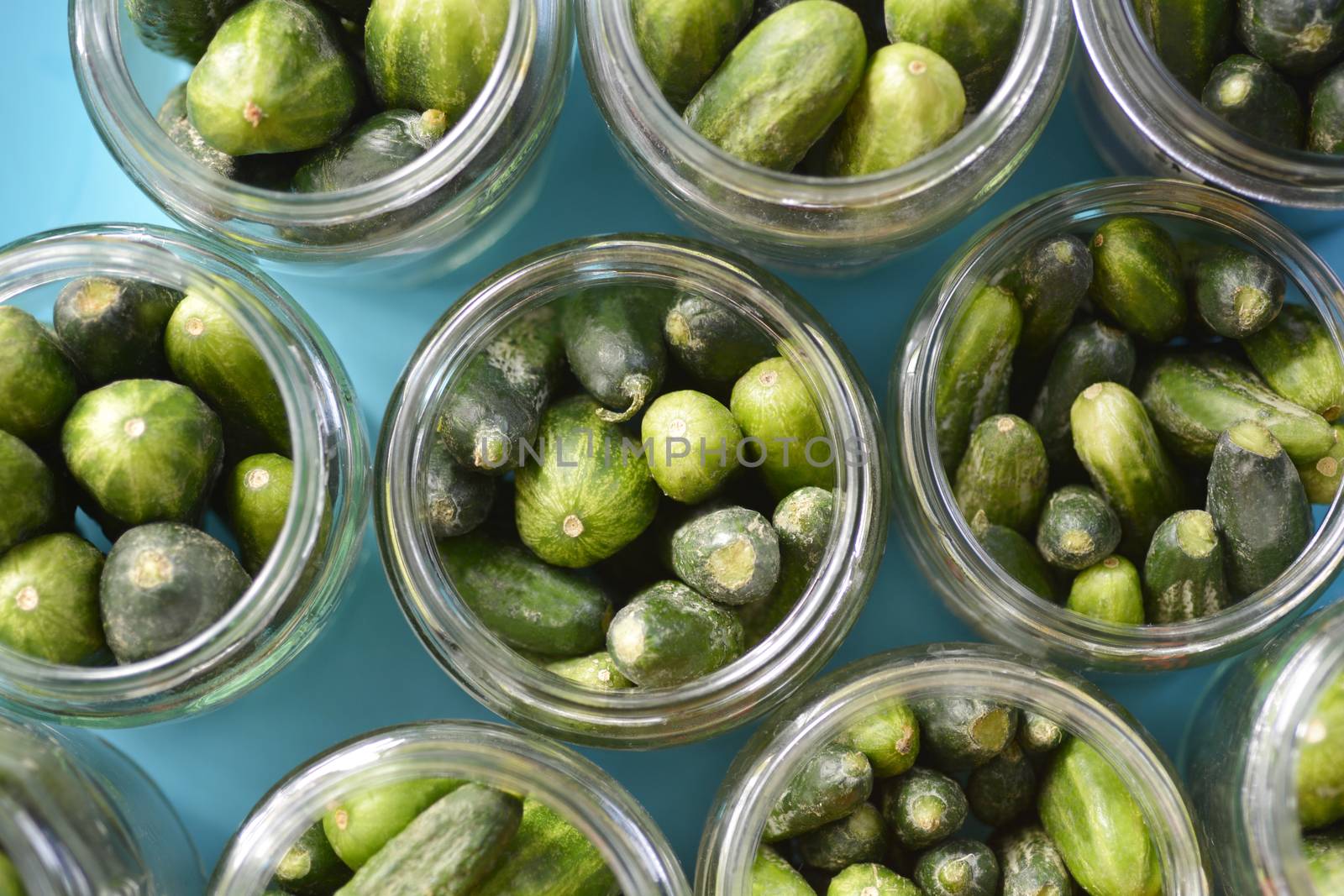 Cucumbers in a jars - preparing pickles - top view