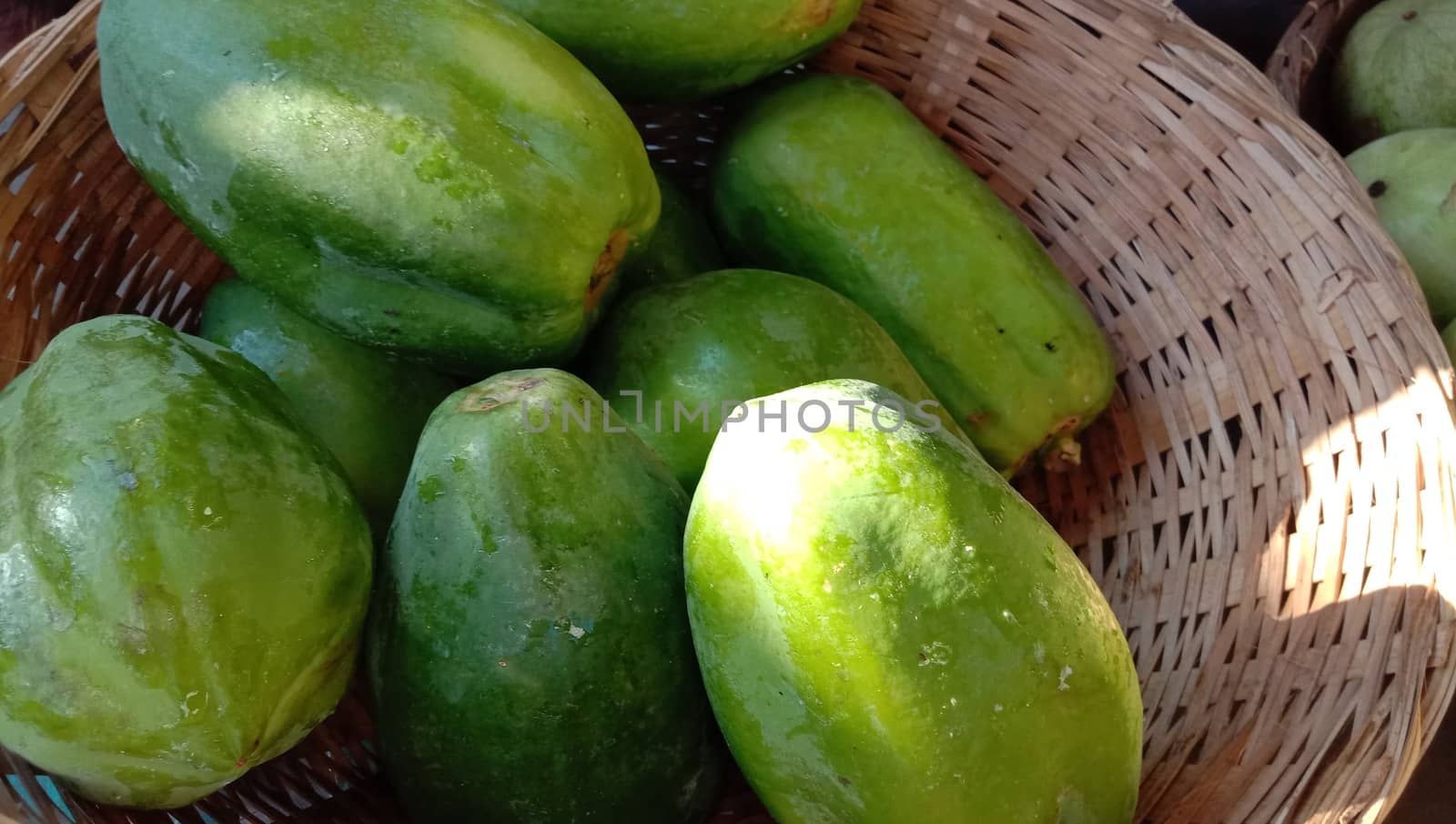 fresh healthy Green Papaya stock on shop