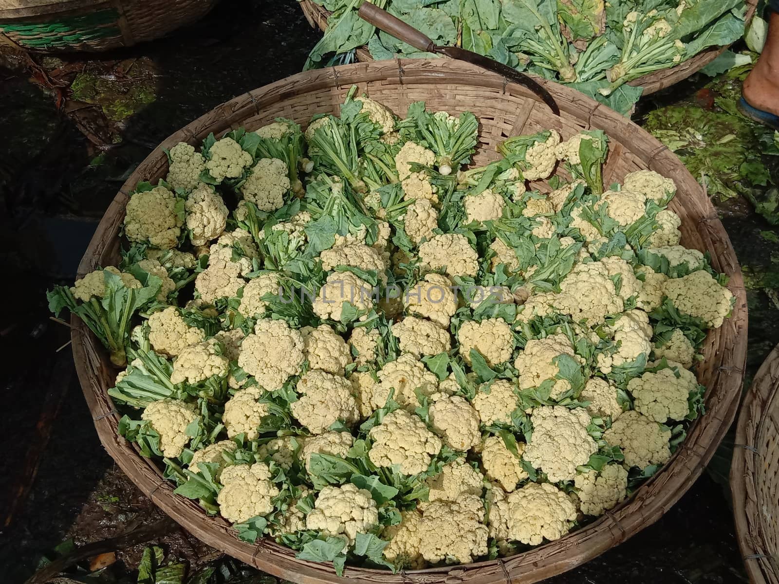 fresh tasty and healthy Cauliflower stock on shop