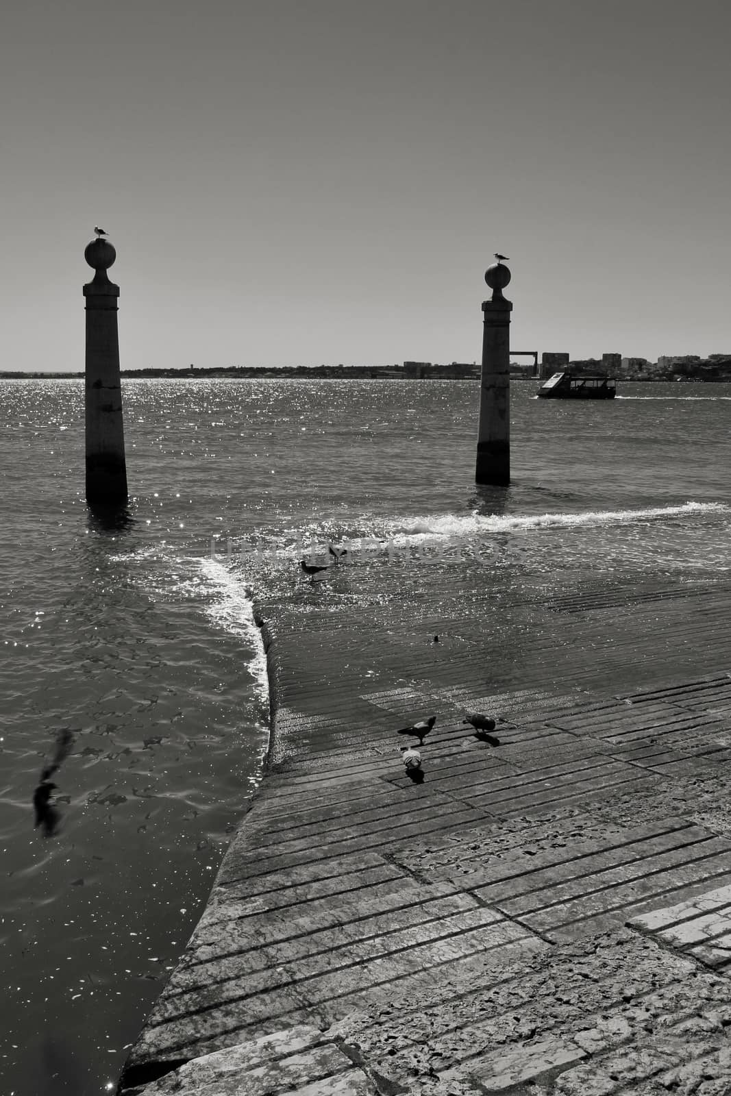 Pillars of Do Comercio square on the banks of the Tagus River in Lisbon in a sunny day of spring. Segulls on the top.