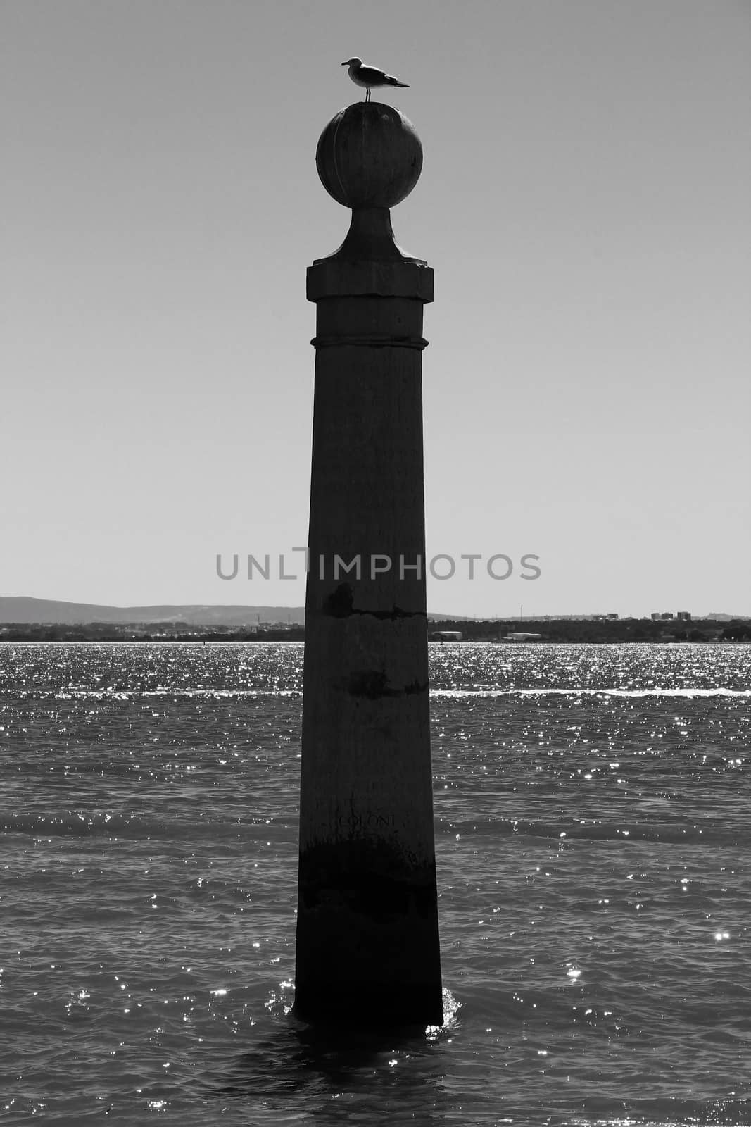 Pillar of Do Comercio square on the banks of the Tagus River in Lisbon in a sunny day of spring. Segull on the top.