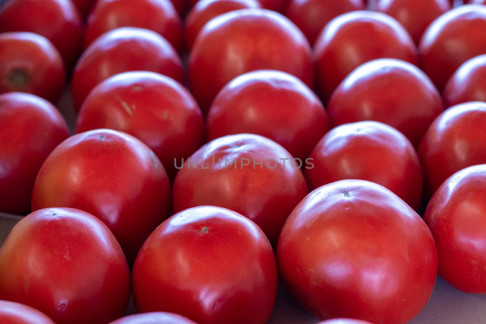 Rows of Red Tomato's in the Farmers Market by gena_wells