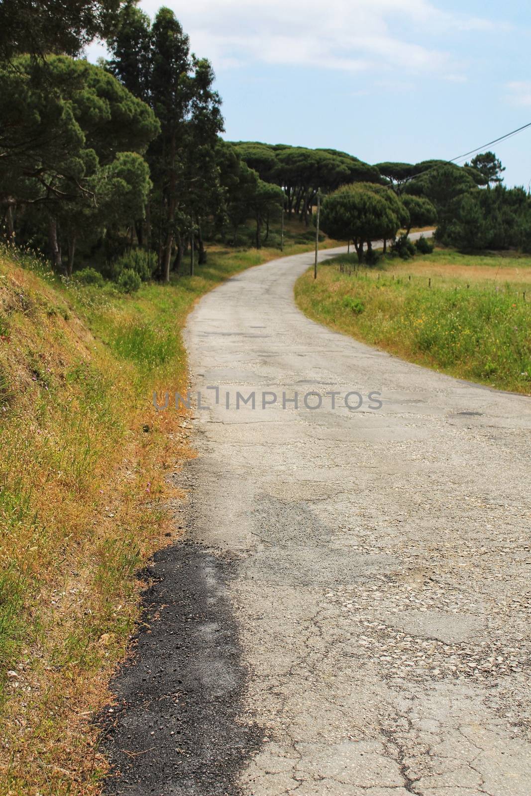 Road on the mountain surrounded by green vegetation under cloudy sky in Spring