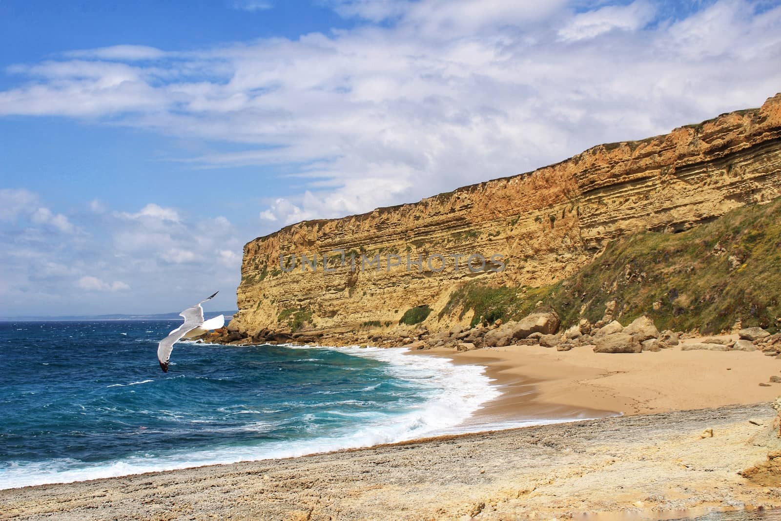 Crystal clear and wild waters in Praia da Foz, Sesimbra, Portugal. Golden sand , seagulls flying, Cliffs and rock formation