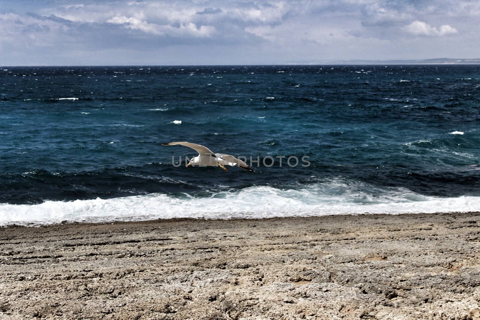 Crystal clear and wild waters in Praia da Foz, Sesimbra, Portugal. Golden sand , seagulls flying, Cliffs and rock formation