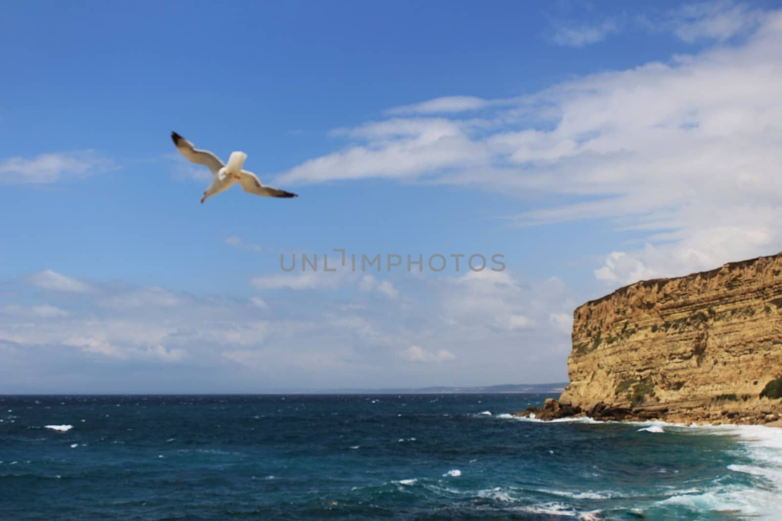 Crystal clear and wild waters in Praia da Foz, Sesimbra, Portugal. Golden sand , seagulls flying, Cliffs and rock formation