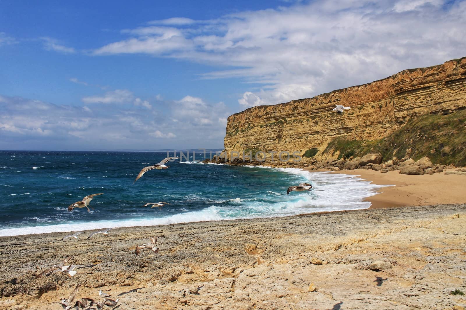 Crystal clear and wild waters in Praia da Foz, Sesimbra, Portugal. Golden sand , seagulls flying, Cliffs and rock formation