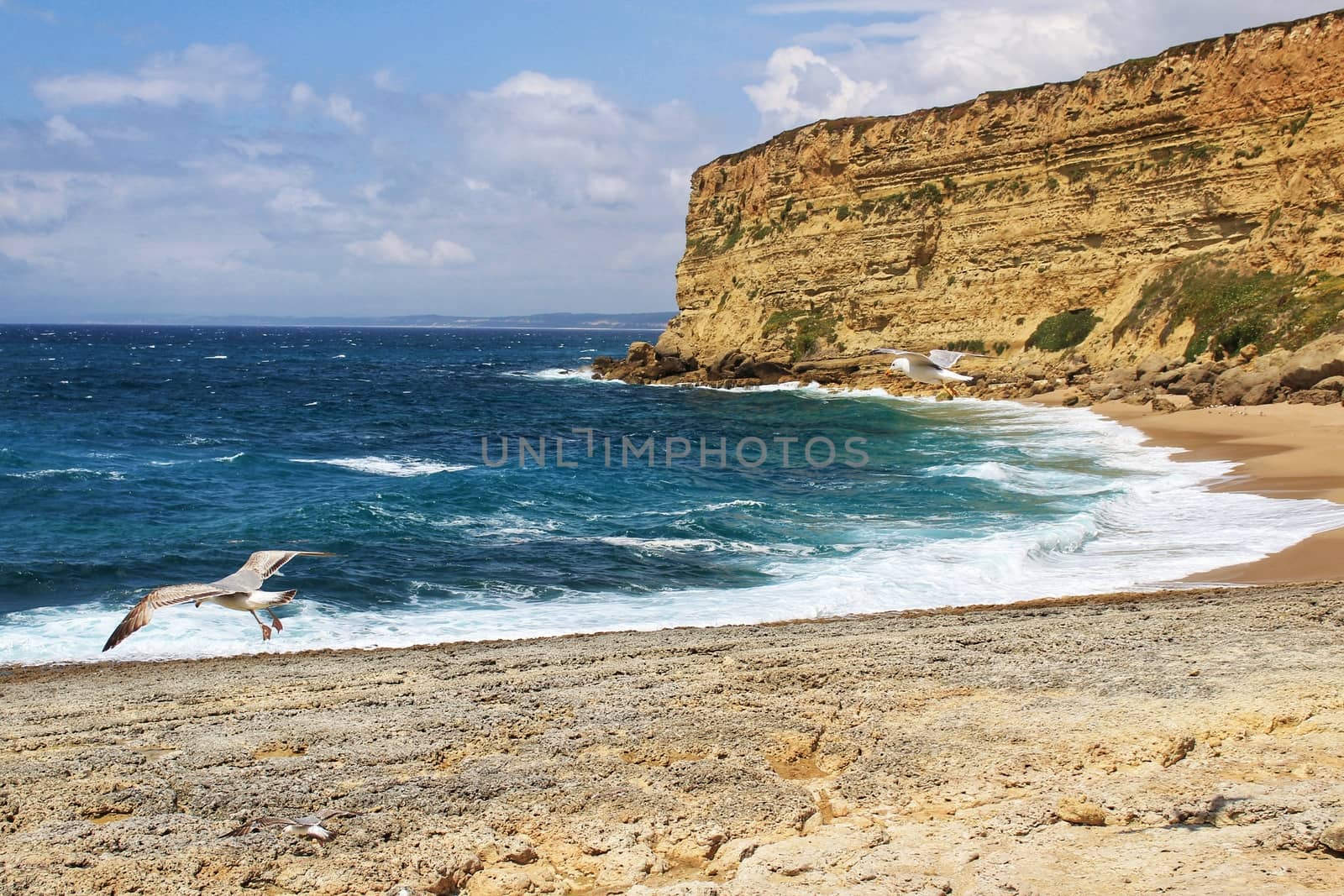 Crystal clear and wild waters in Praia da Foz, Sesimbra, Portugal. Golden sand , seagulls flying, Cliffs and rock formation