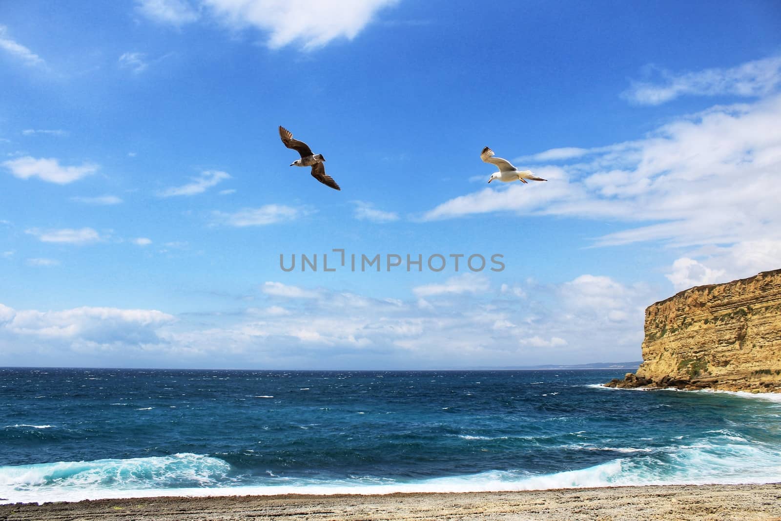 Crystal clear and wild waters in Praia da Foz, Sesimbra, Portugal. Golden sand , seagulls flying, Cliffs and rock formation
