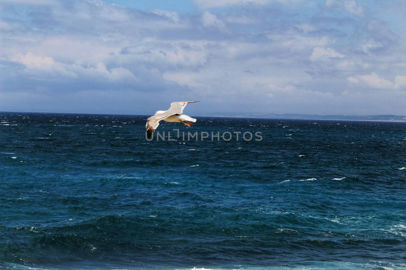 Crystal clear and wild waters in Praia da Foz, Sesimbra, Portugal. Golden sand , seagulls flying, Cliffs and rock formation