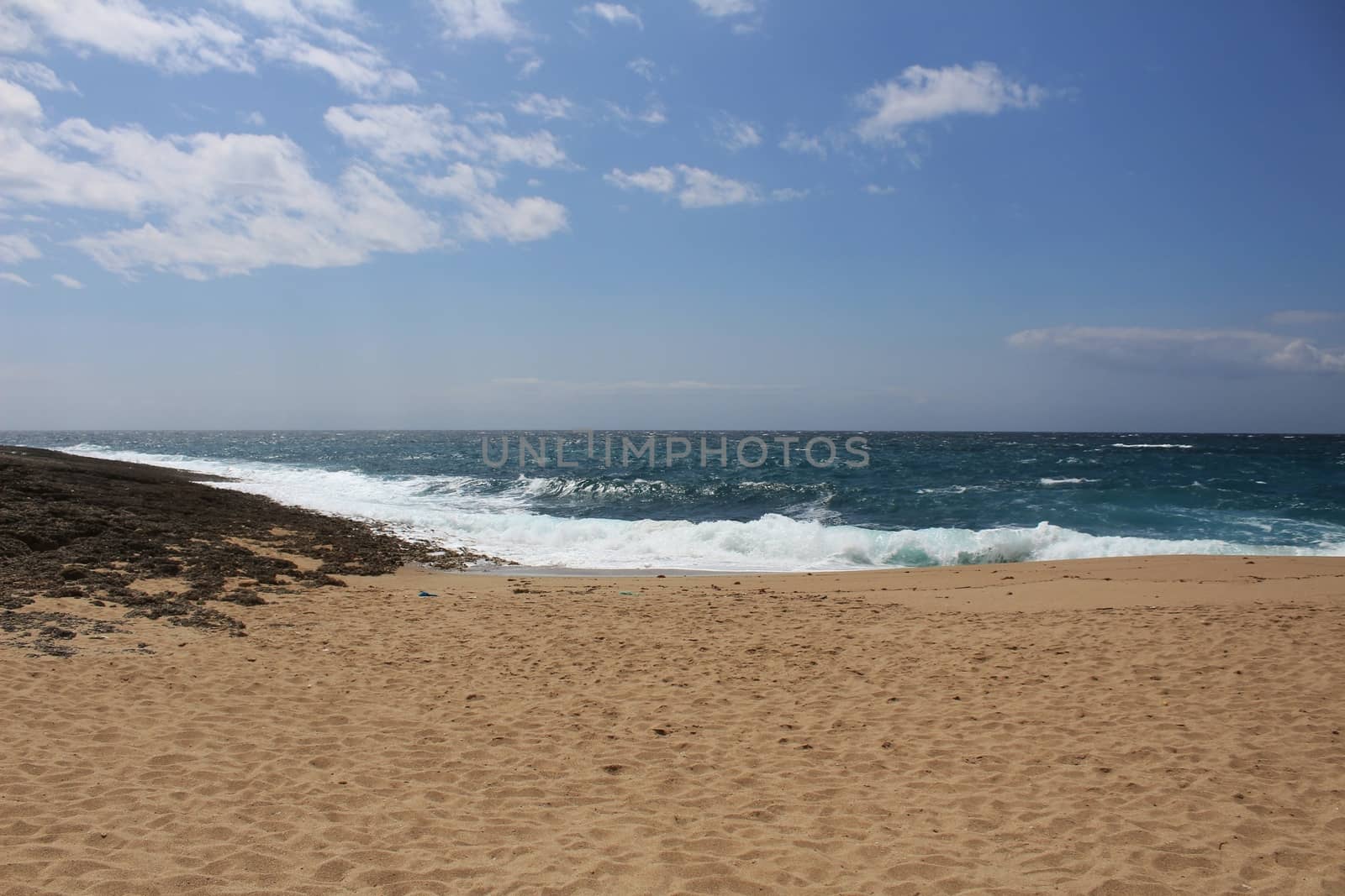 Crystal clear and wild waters in Praia da Foz, Sesimbra, Portugal. Golden sand , seagulls flying, Cliffs and rock formation