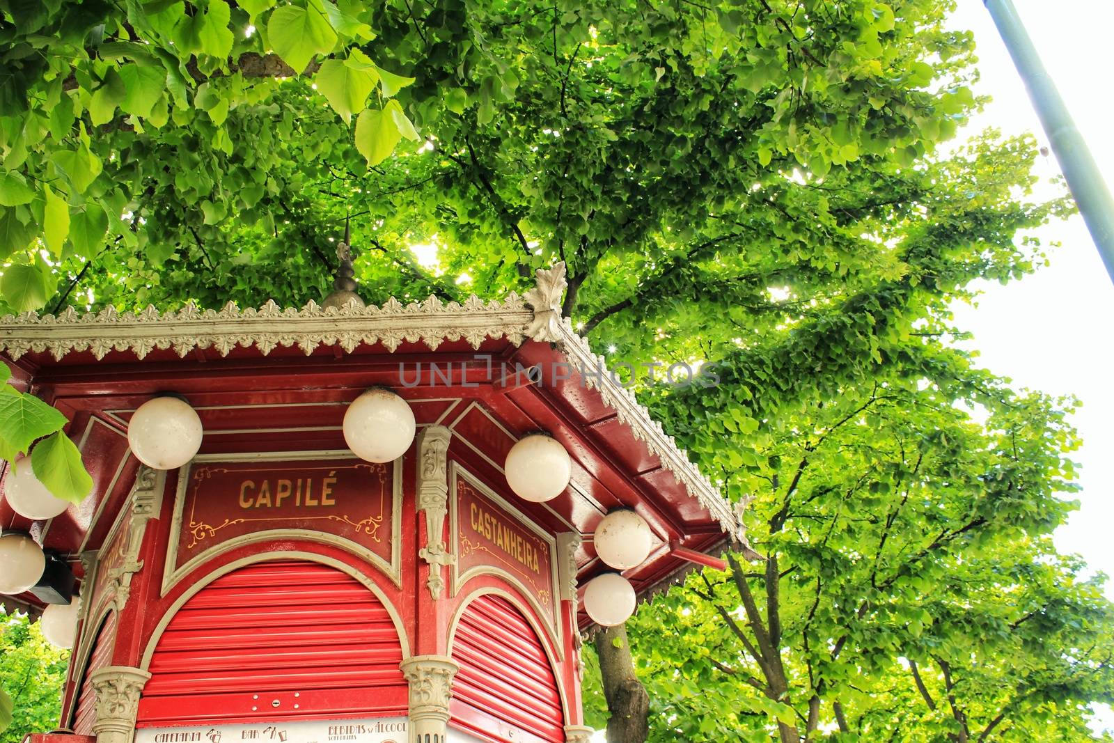 Typical red cafe kiosk in a park in Lisbon, Portugal. Purple tree in the background.
