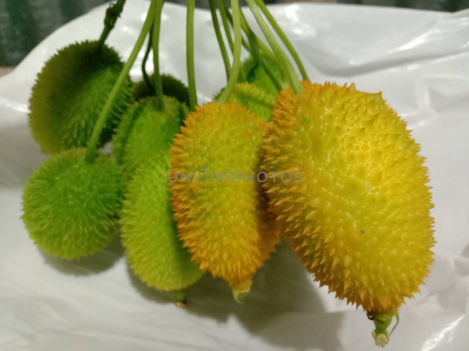 fresh healthy Sweet Bitter Gourd stock on white background