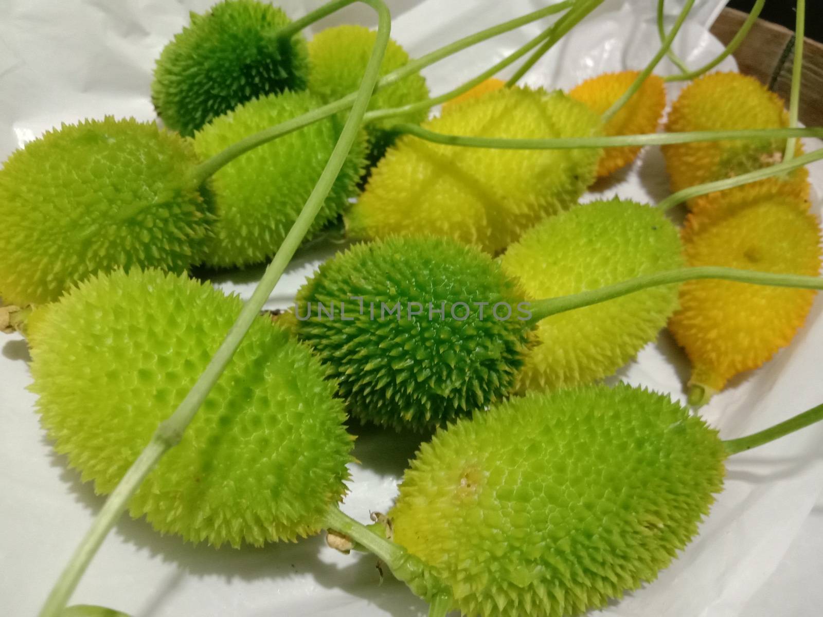 fresh healthy Sweet Bitter Gourd stock on white background