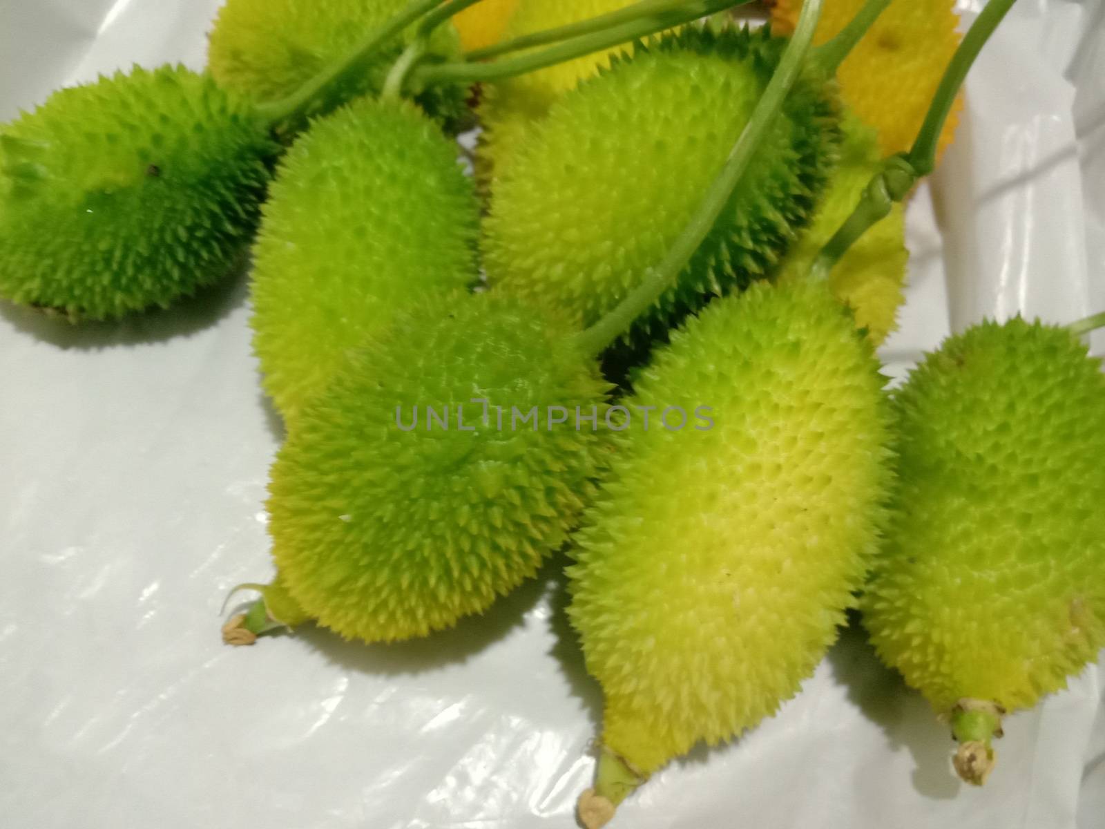 fresh healthy Sweet Bitter Gourd stock on white background