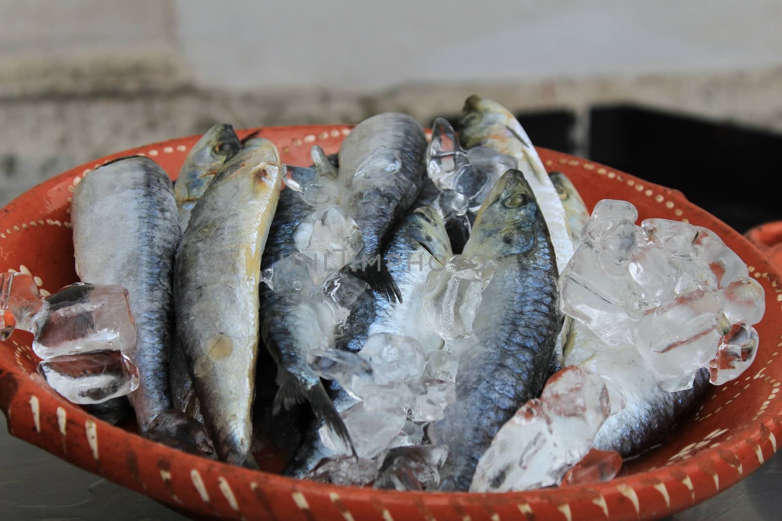 Sardines with ice on plate waiting to be prepared in a market stall in Lisbon