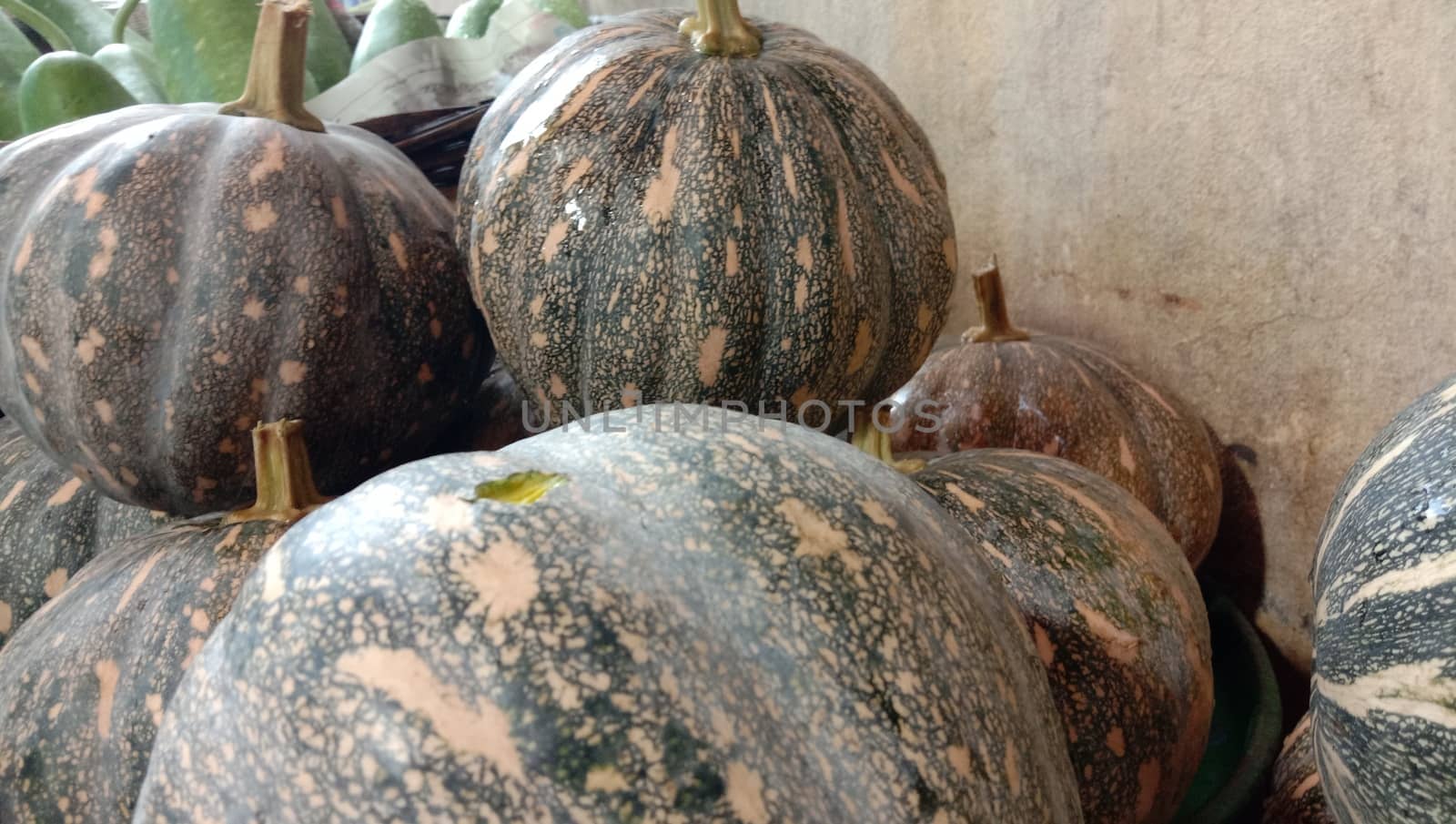fresh healthy pumpkin stock on market for sell