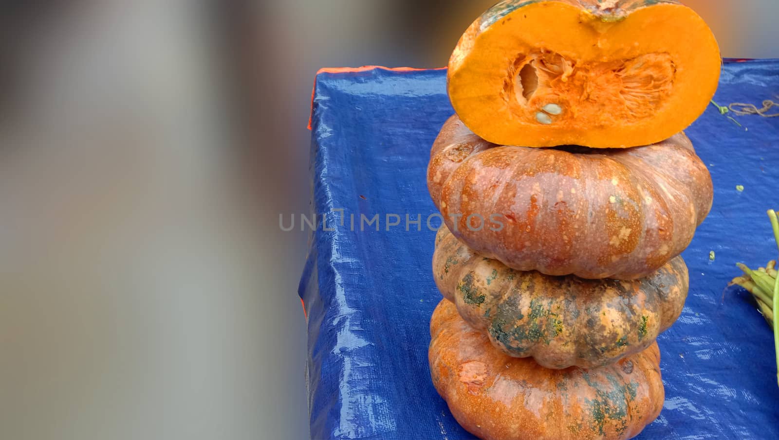 fresh healthy pumpkin stock on market for sell