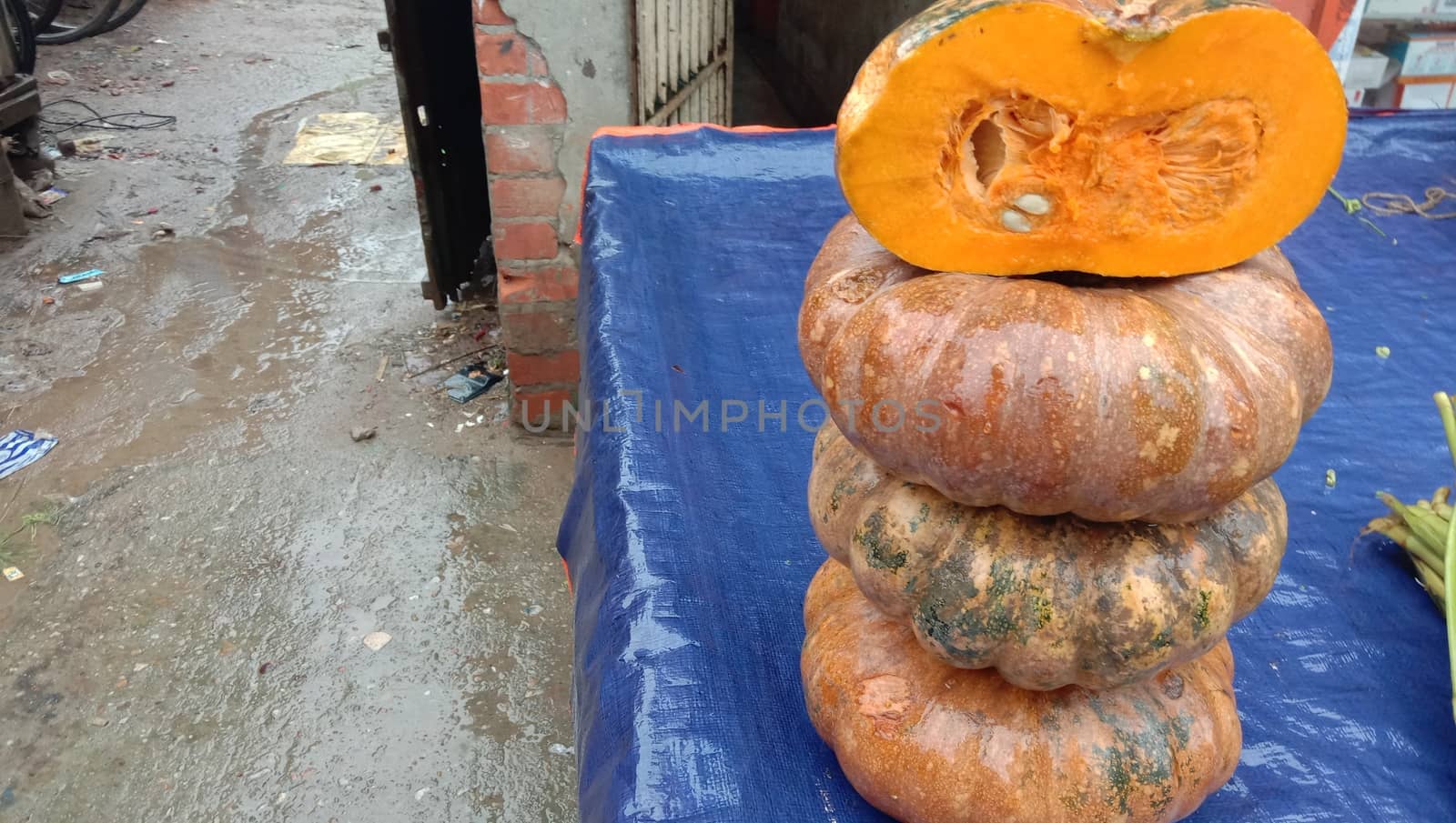 fresh healthy pumpkin stock on market for sell
