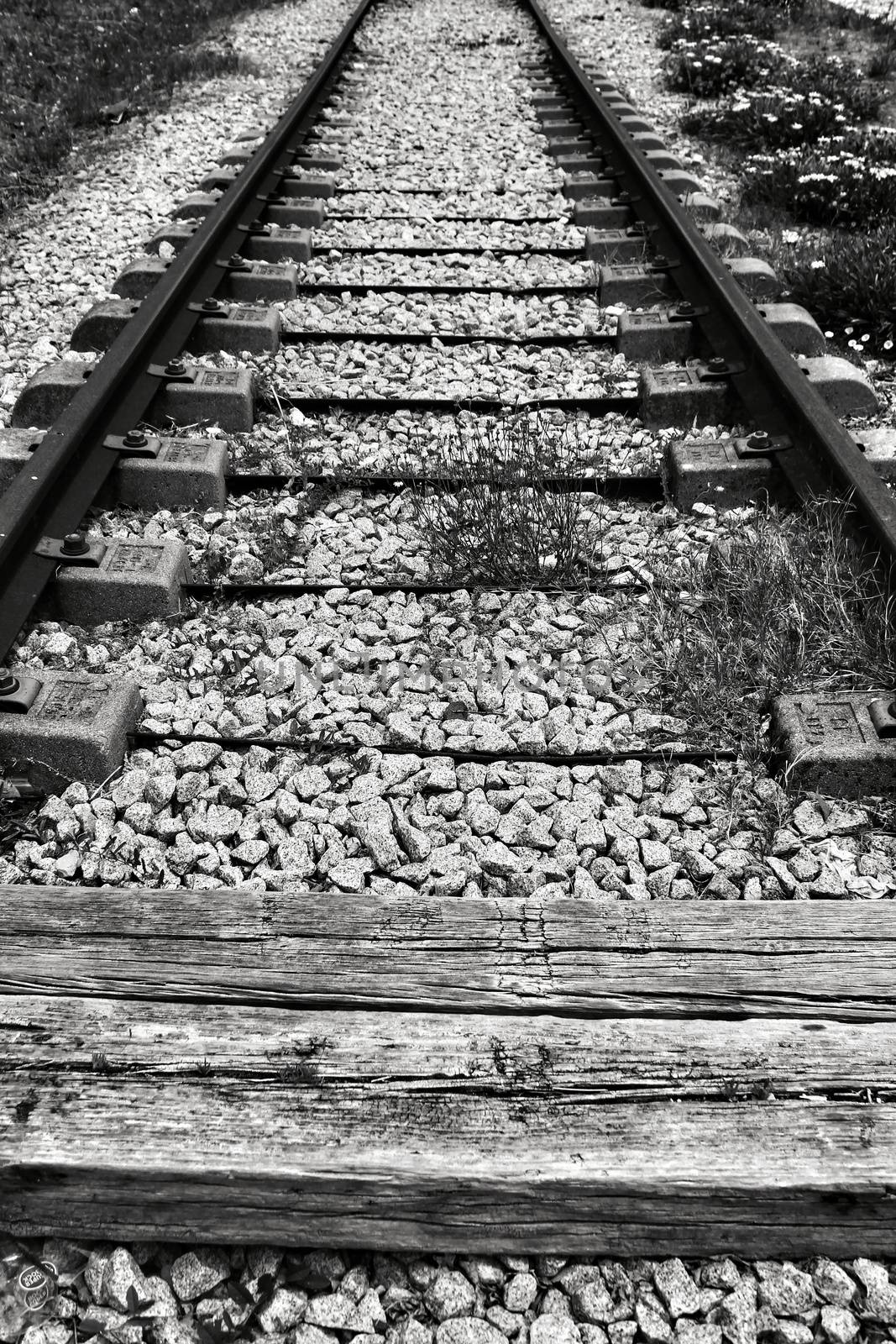 Old and abandoned Train tracks in Lisbon Monochrome photography.