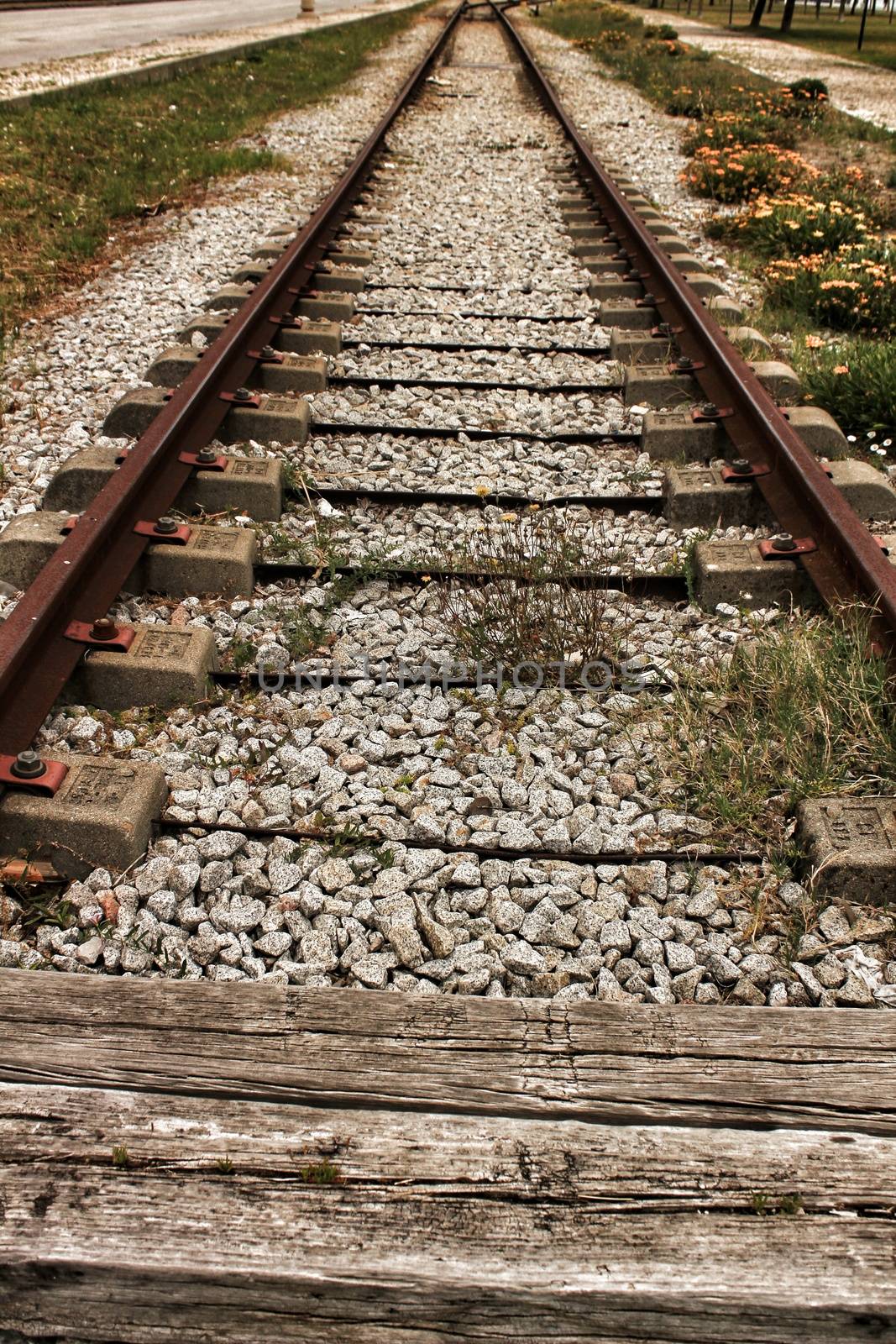 Old and abandoned Train tracks in Lisbon.