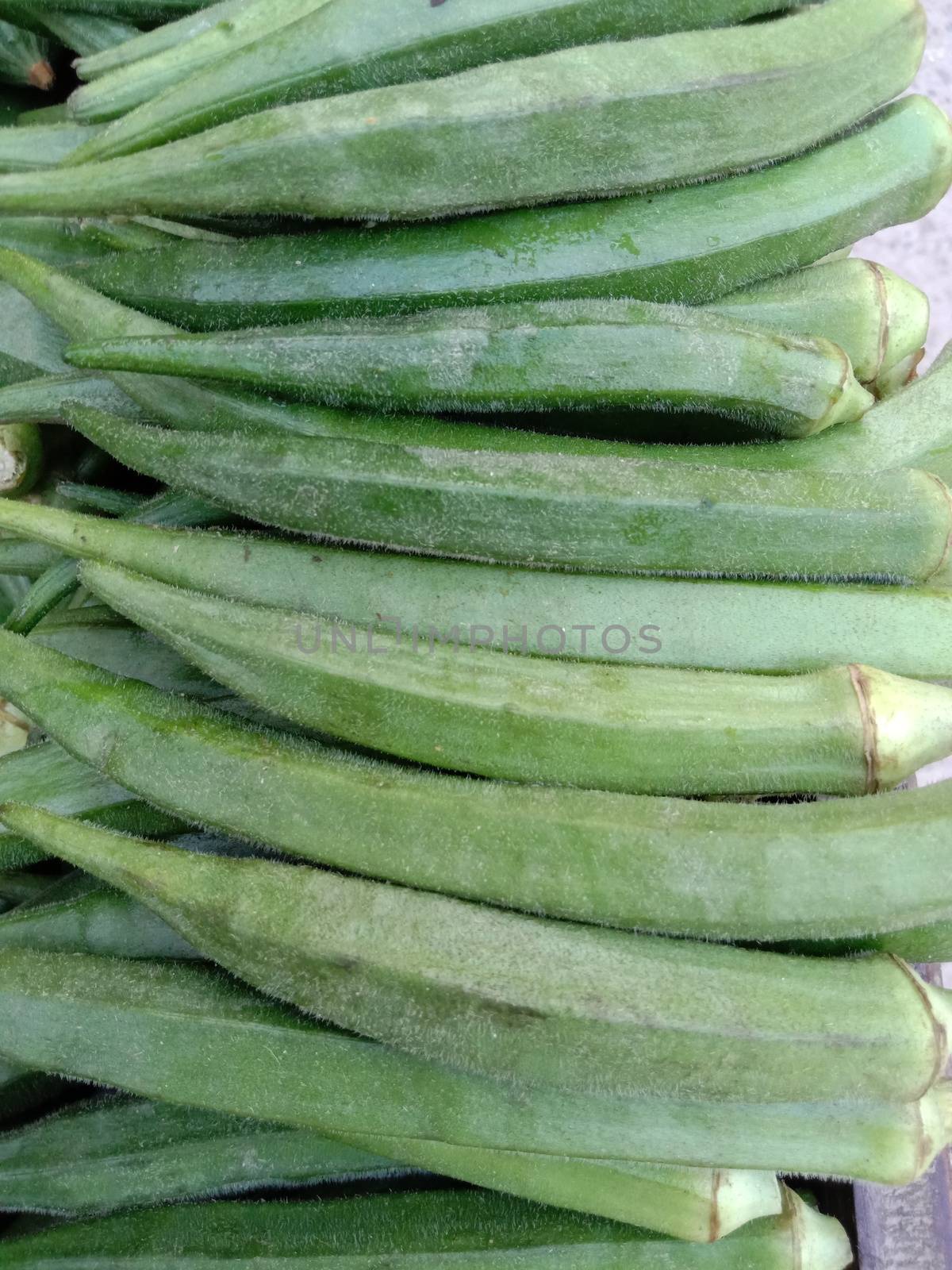 green colored fresh tasty healthy lady finger stock on shop