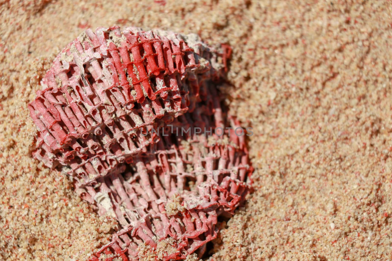 Close up of coral dye in the sand at Pink Beach, Lombok, Indonesia. Red coral in the sand. The crushed coral turns sand into pink.