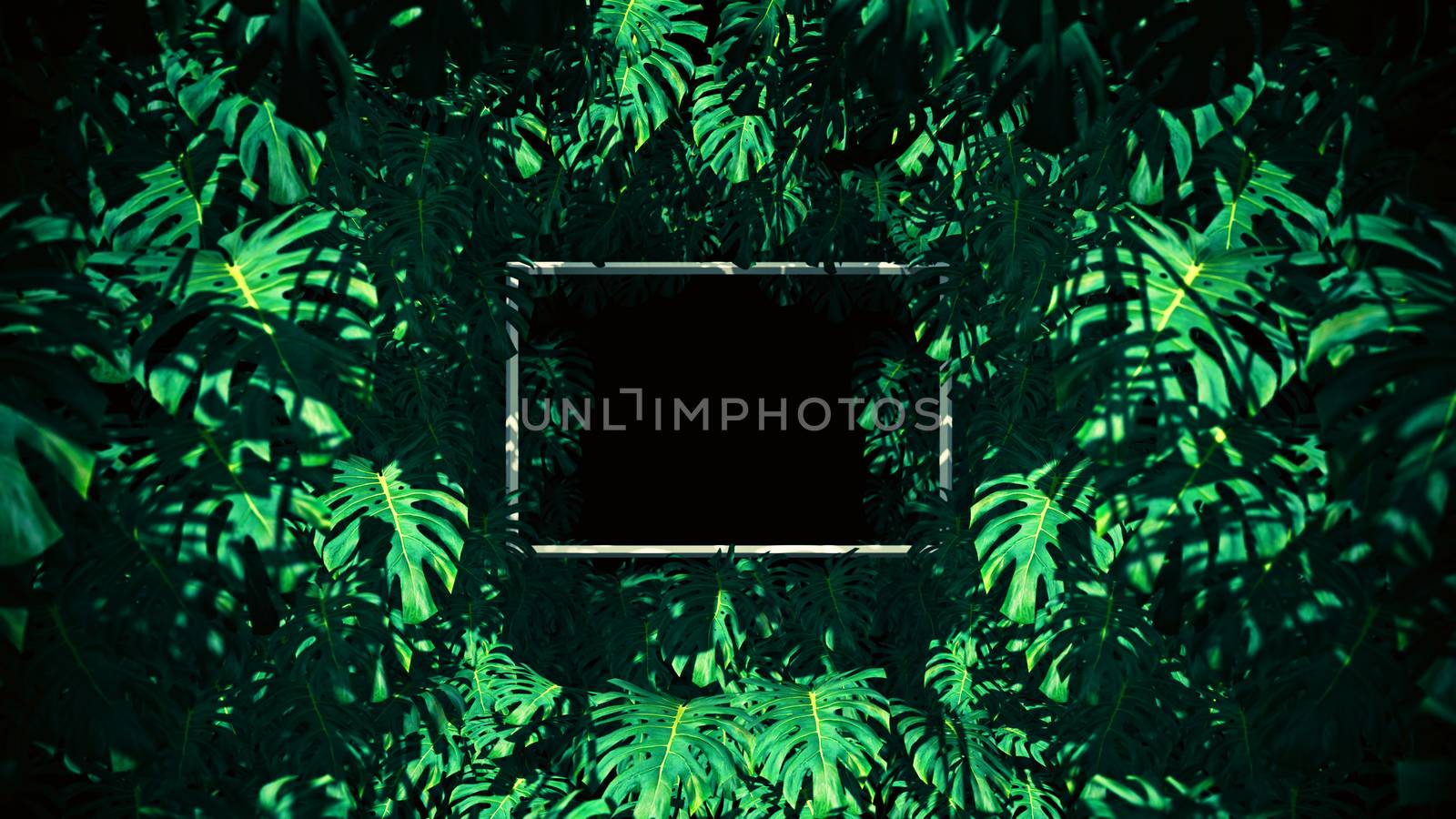 The Jungle In Swiss Cheese Plant Frame by urzine